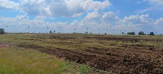 Agricultural Land Deals